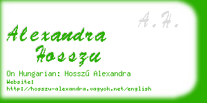 alexandra hosszu business card